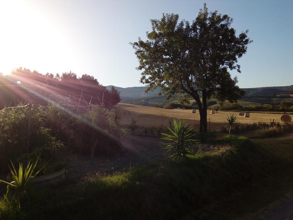 Carlo'S Country House Castellina Marittima Extérieur photo